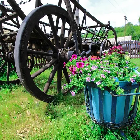 招待所 老客栈膳食公寓酒店